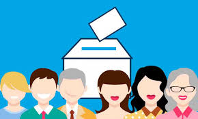 Derechos políticos y observación electoral.